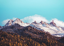 乐鱼体育登入-有争议吗？C罗与队友投诉达马克禁区内手球，裁判没有给点球